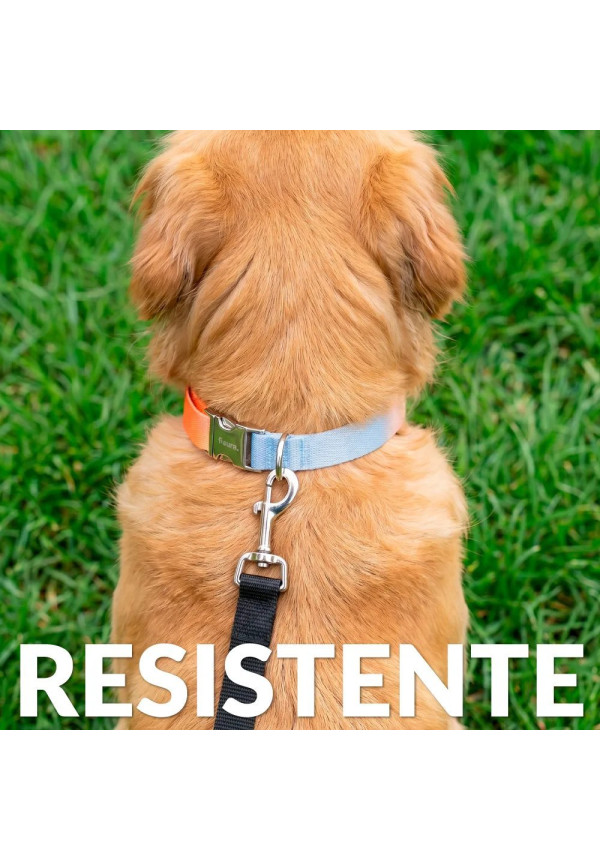 Collar Degradado L