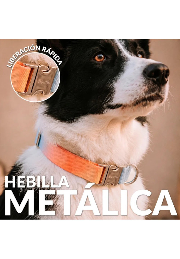 Collar Degradado L