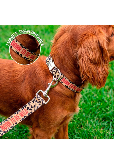 Collar perro leopardo S