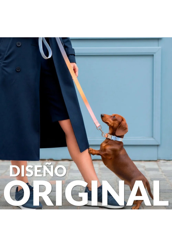 Collar degradado S