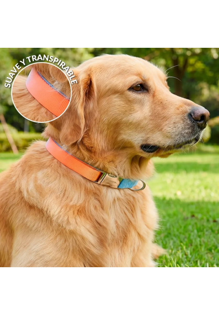 Collar Degradado L